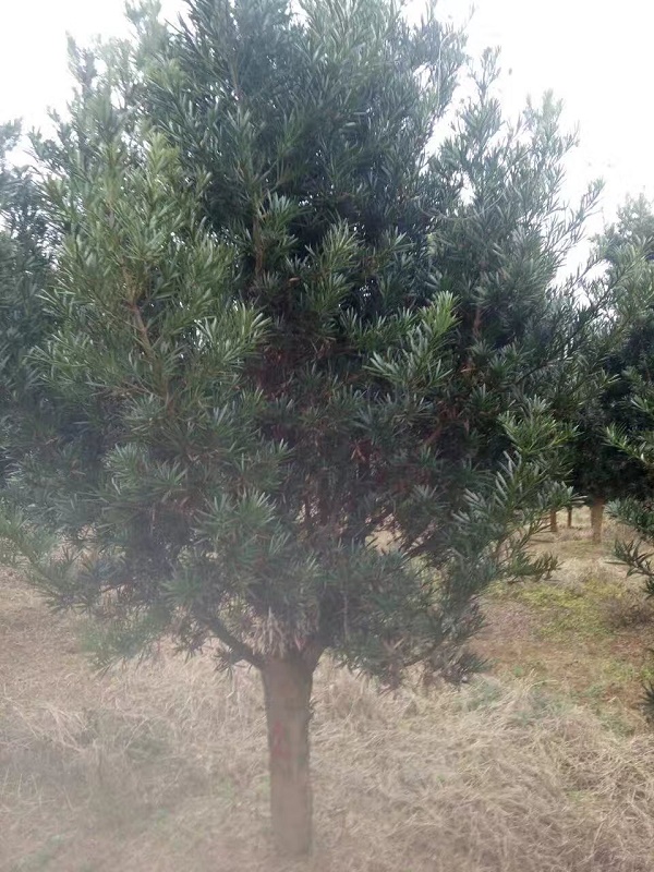 9-10�����޺���
