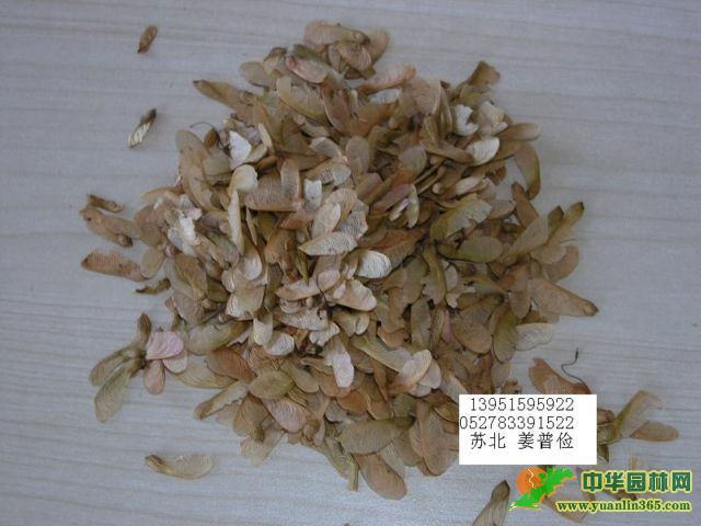 ���ַ������ӡ���㡢��㡢��Ƿ㡢���Ƿ㡢����