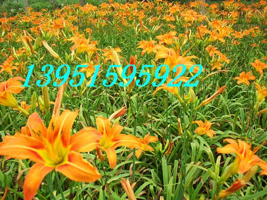 ������ݡ��������β���󶬡����˽��������ݡ��컨�m����