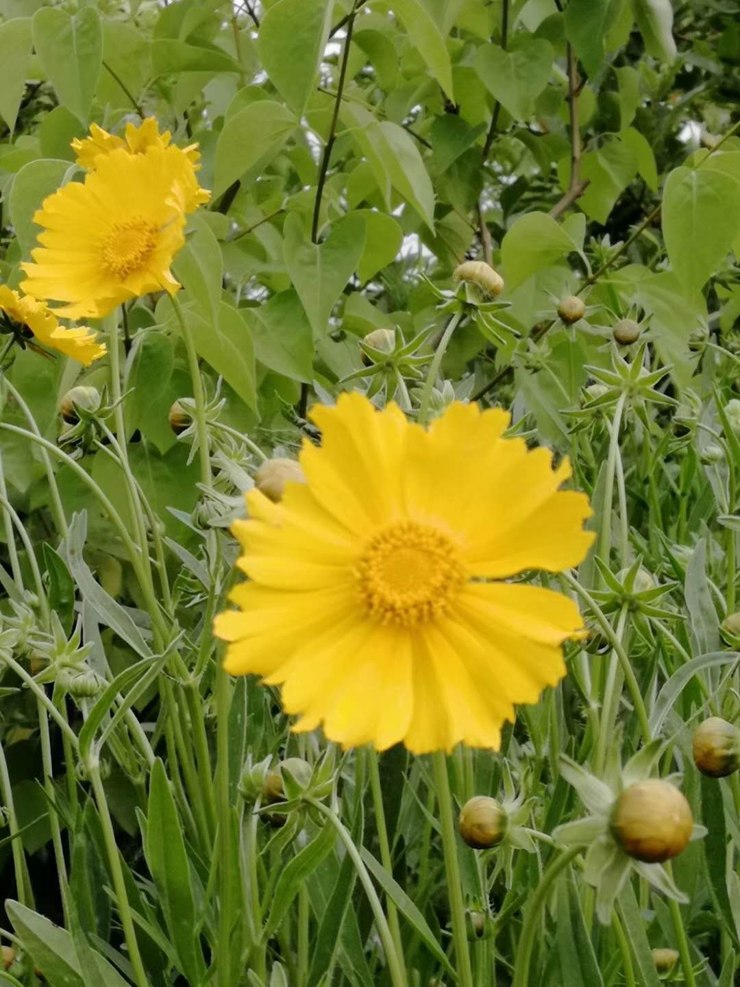 �������𼦾ա���յ�ա����˾յ�����