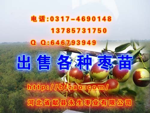 �ӱ�ʡ������������