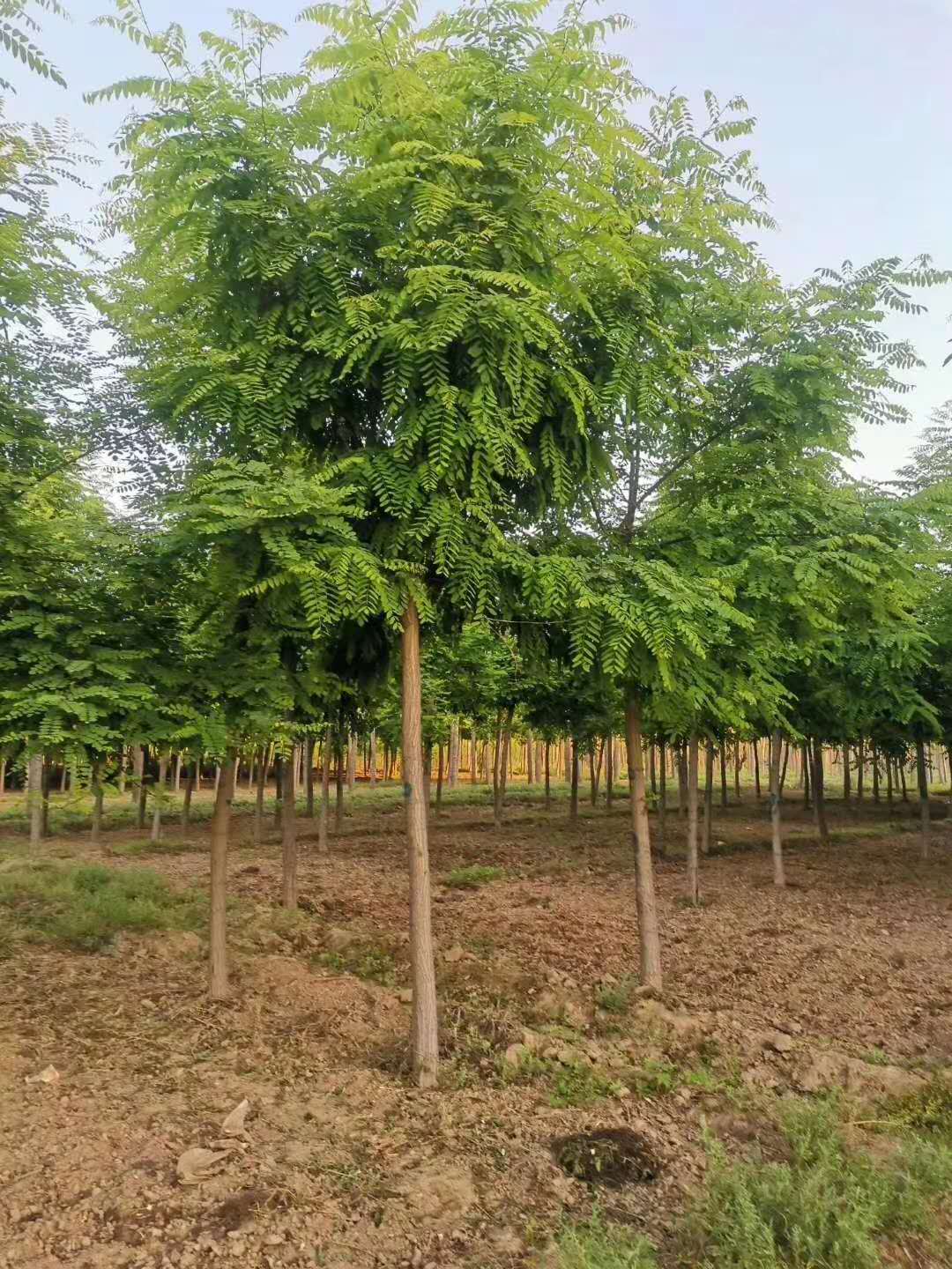 8���ִ̻����̻�С��