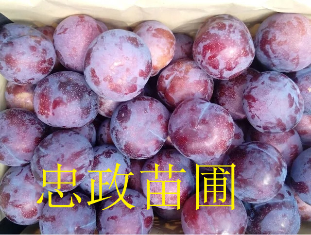 ��������硢�������������С�0.8����������