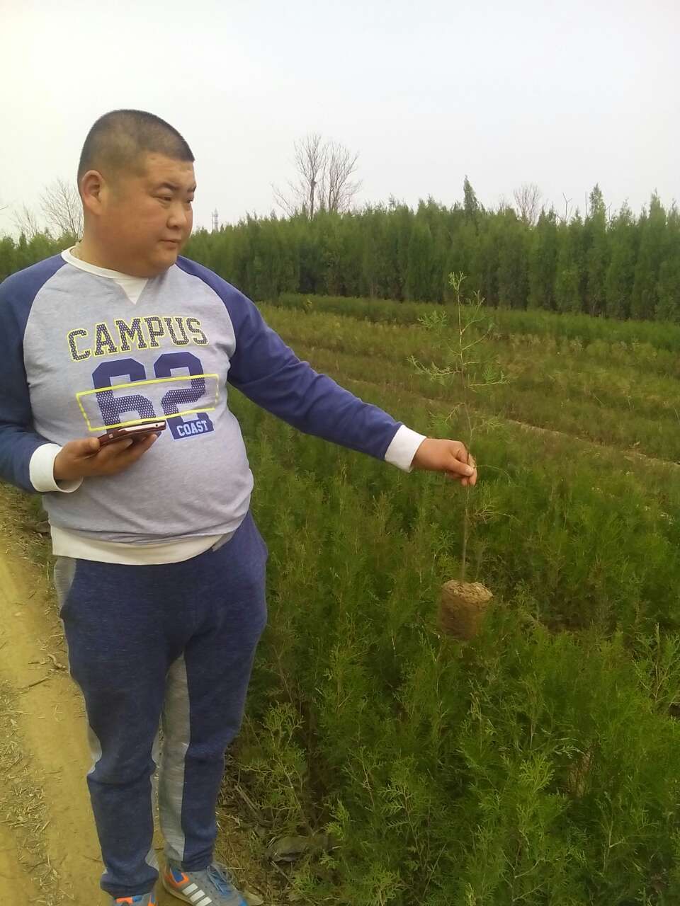 ���С�硢�����в��С��30���ָߵĲ������