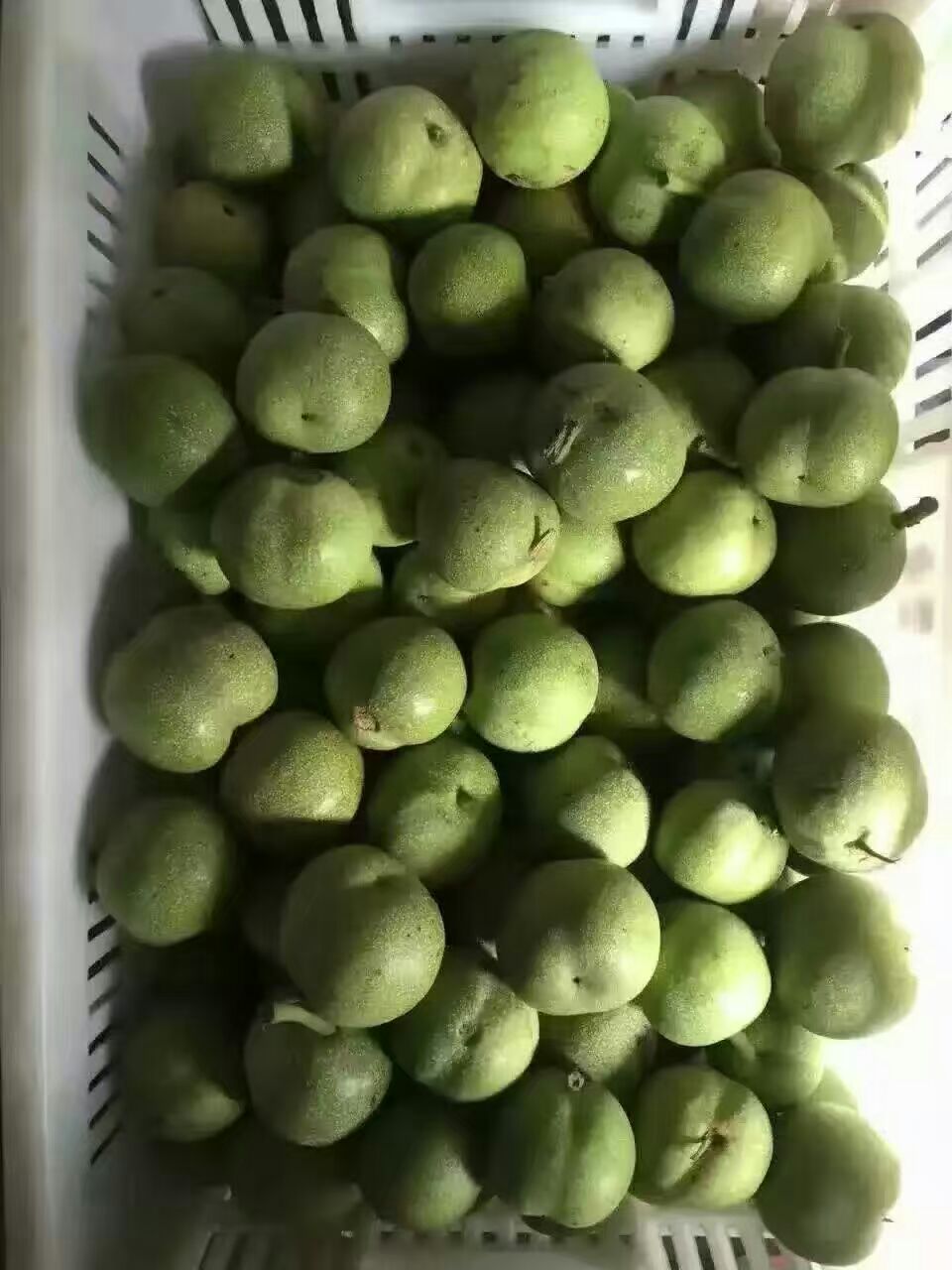 ��Ƥ���ҡ���������Ƥ���ҡ���Ƥ����װ��