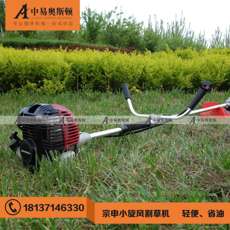�����ݻ�����С����S35��������ʽ��ƺ��