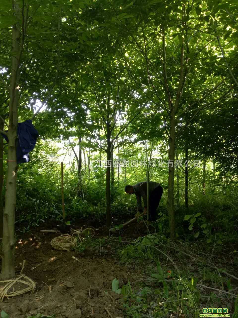 ����6-12����