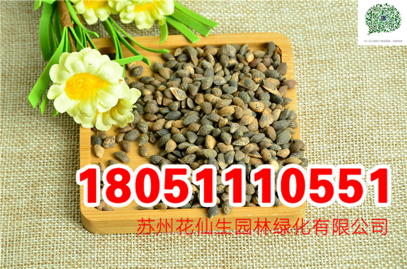 ʪ���ɡ���Ƥ�ɡ��޺��ɡ���β�ɡ����ɡ����ɡ��ɰ�����