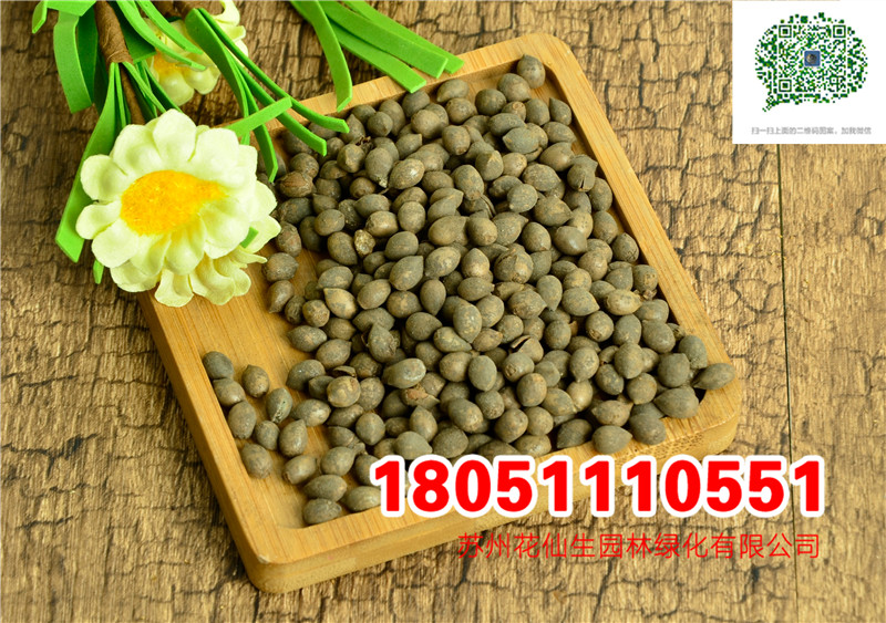 �춹ɼ���ӡ�������ӡ��춹�����ӡ���ɼ����