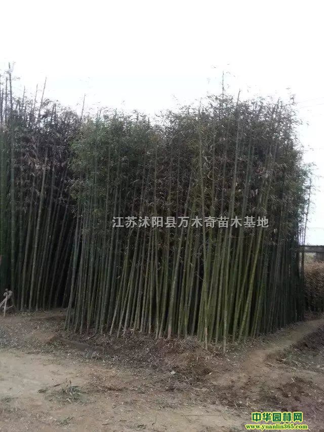�����硢����1-5���ִ�