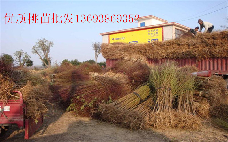 �����硢�����硢�����硢�������硢�ȸ��ֹ�������������