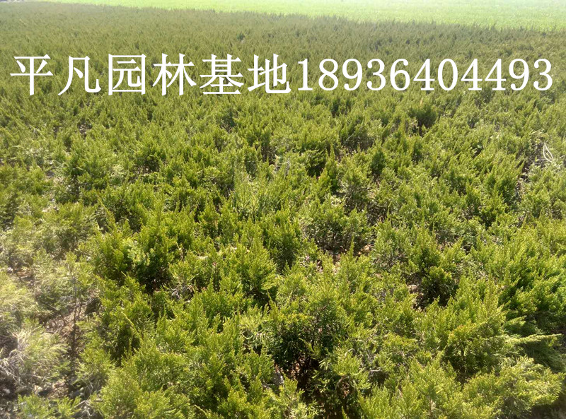 ��С���Ͱ���102030508090100cm������������