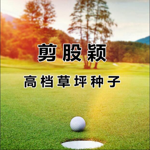 ����ӱ���ӡ��ļ����ƺ������ͥԺ���������Ͳ�Ƥ����