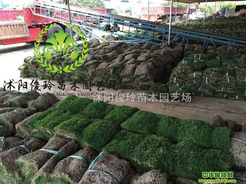 �Թ�V�Ÿ���é���ӡ��Թ���Ÿ���é������é�����Թ��������
