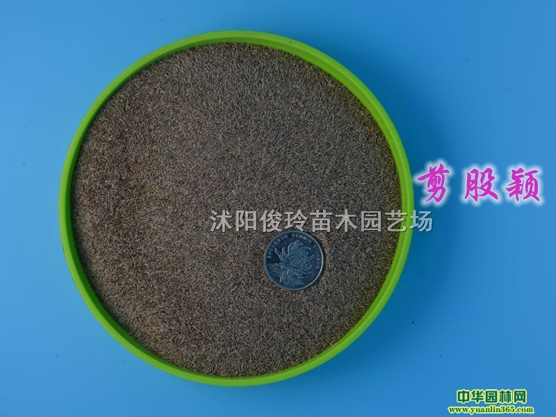 ����ӱ���ӡ��������ӱ���ӡ�ϸ������ӱ���ӡ��伾�Ͳ�ƺ����