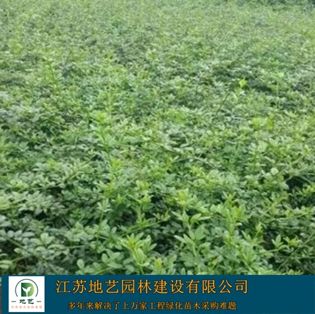 ӭ����-ӭ����ͼƬ-ӭ������ֲ����