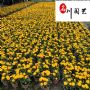 ��Ӧ�������𼦾ա����ͼ�ֵ�ߡ��ɶ��𼦾ջ�������