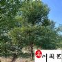 �Ĵ���Ʒ����������10-25�����ֻ��������������߸�����