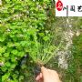 �컨�������ػ��������ɶ�ũ���Բ����������Ż�