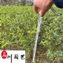 СҶŮ�깤��������������԰���̻���ľ�����Ż�