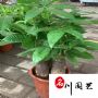 �������������������������������ڰ칫��ֲ������