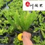 �Ĵ���β���Ŷ����Ի��ء���β���Ŷ��۸��������