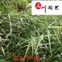 ��Ҷ«έ����ֱ����ʪ�غ���ˮ�����졢�ɶ����Ͳ�����