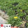 �ƾ��ջ���ֱ������������������������̳��������