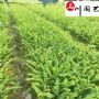 20-50������ާ��������ާ����۸񡢳ɶ���ާ����ֱ��