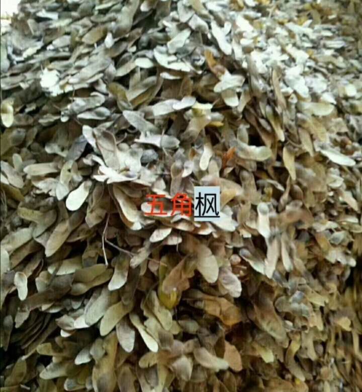 ��Ƿ����ӡ���Ƿ�������������Ƿ����ӹ�Ӧ