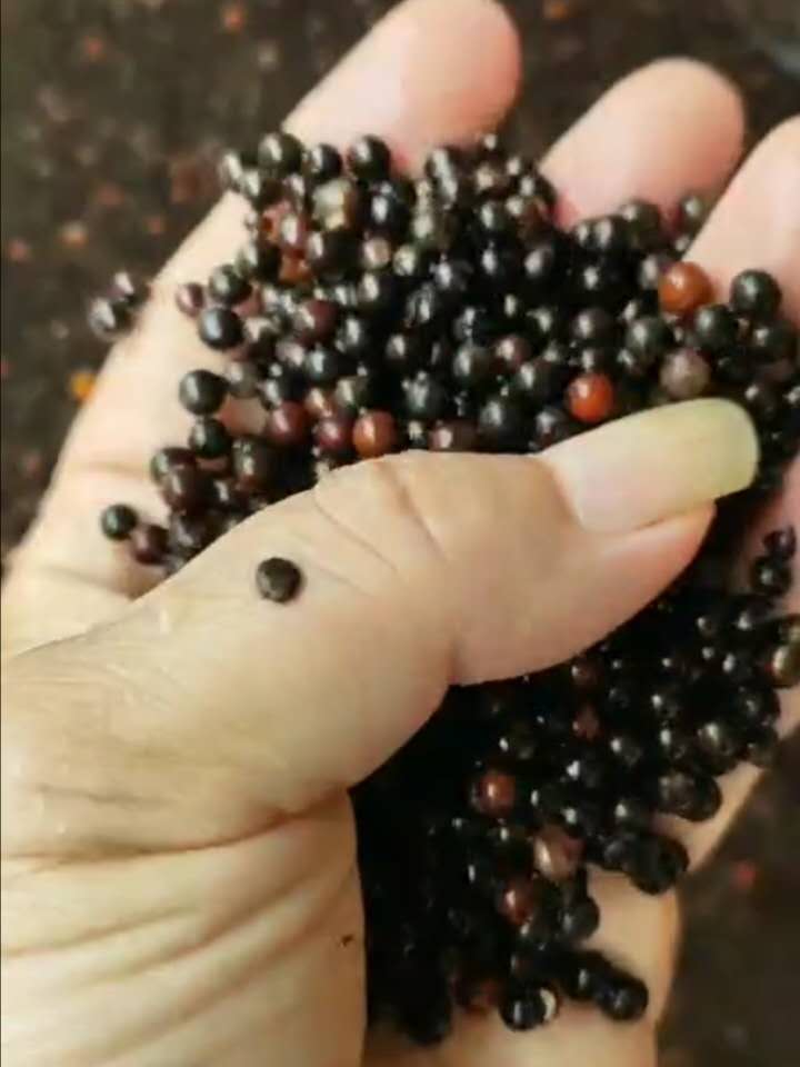 ��ľ���ӡ���ľ���ӹ�Ӧ����ľ��������