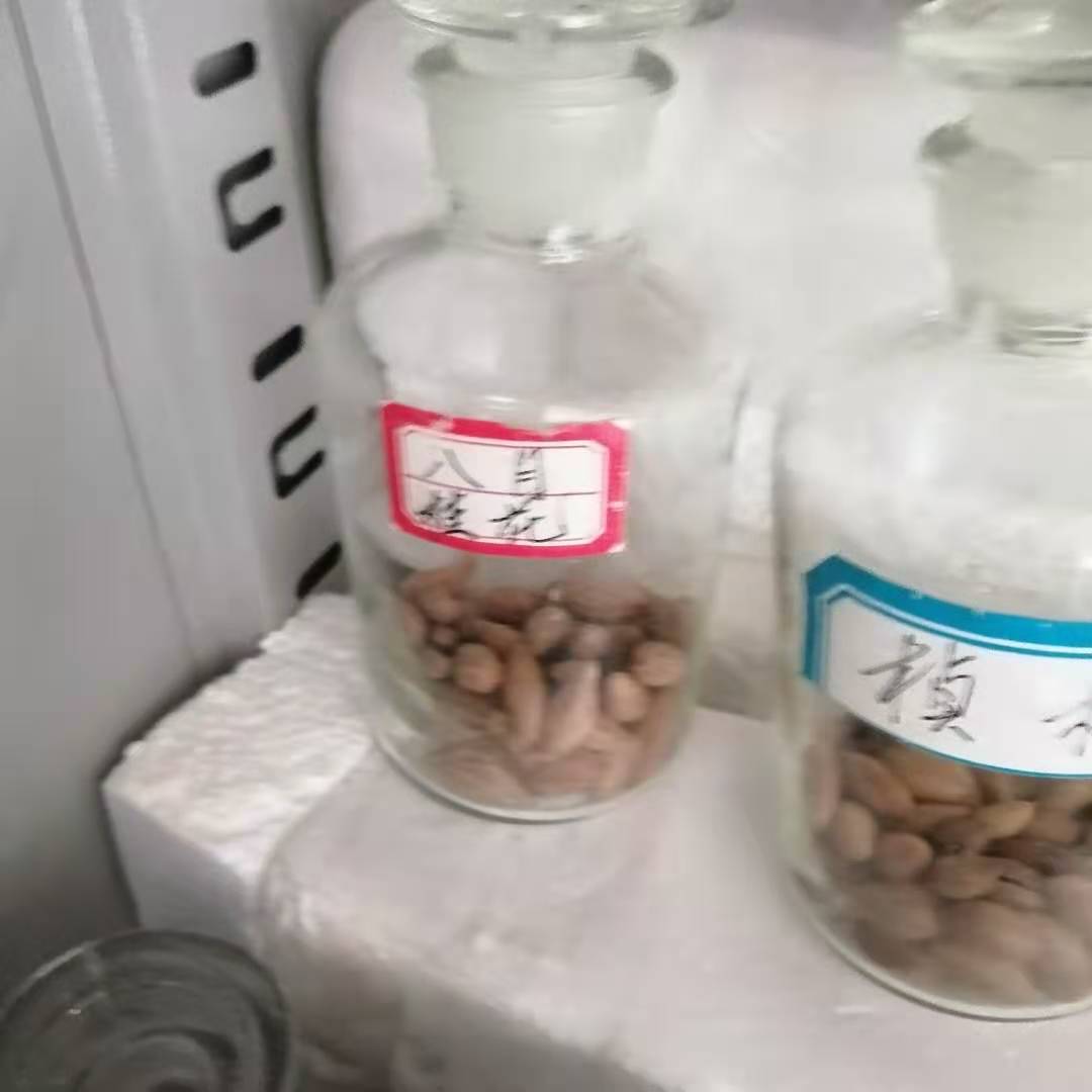 ���¹�����