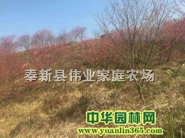 ��Ʒ̨��ӣ����ӣ��ӣD14���ֽ���ӣ�����Խ����˴��ϲ���