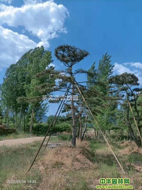 �������ɸ�67�ס��ؾ�30