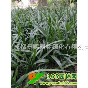 ���������������30�߹�����С�繩Ӧ�������ݻ��ء��Ĵ�������