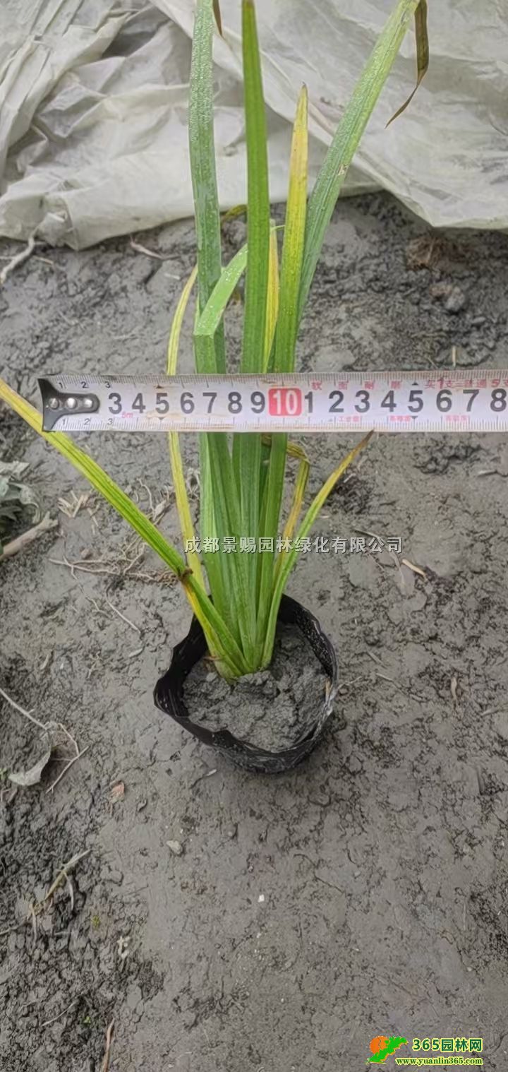 15�������ѹ����硢�����ѵ��硢�����ѱ��硢�����ѻ���
