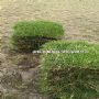 ̨����Ų�ƺ��Ʒ�硢̨����Ų�ƺ�����硢��Ʒ��ƺ