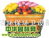 �ӱ����໷�������豸��