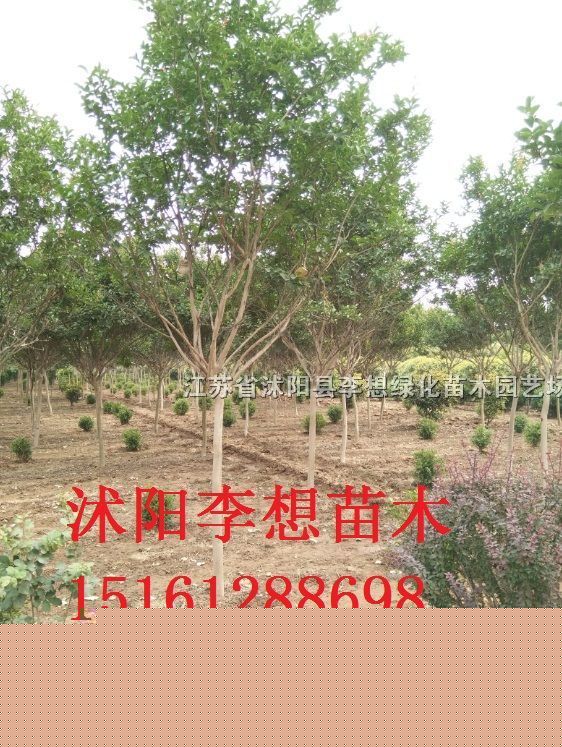 ��ޱ1-10����