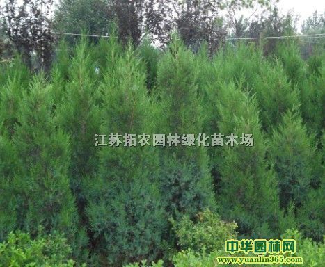 �����硢�����硢�����硢�������硢�����硢�ذ�