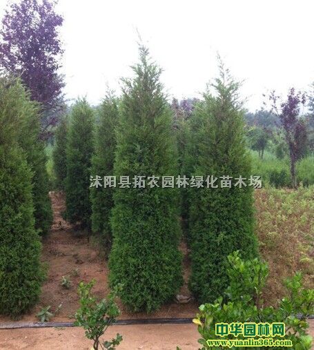 ��Ӧ���ء����������ء��̰ء���������ء����ء�ɳ�ذء��̵ذ�