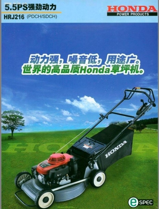 ����216���߸�ݻ�