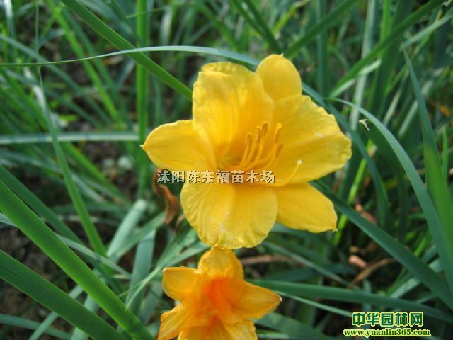���߾ա���������ݡ������ӽ���
