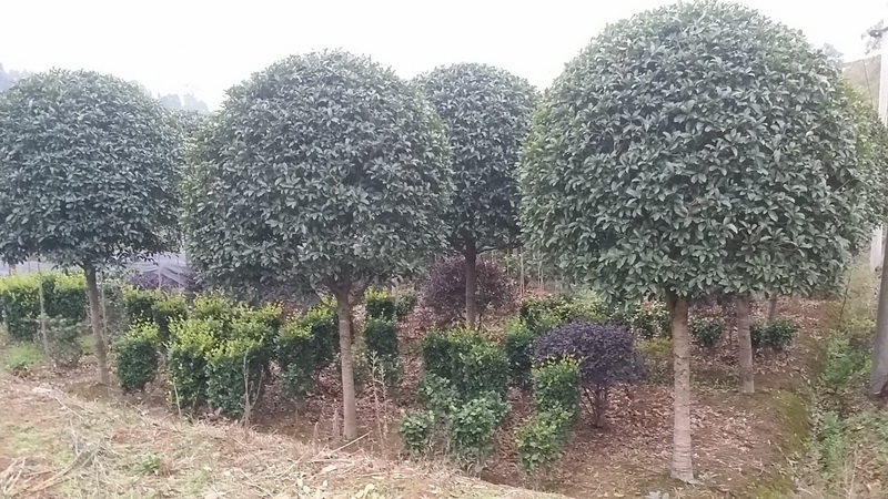 ����80-150