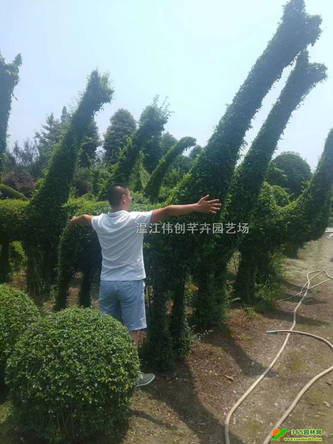 ���ϵ���Ů�����ͻ���