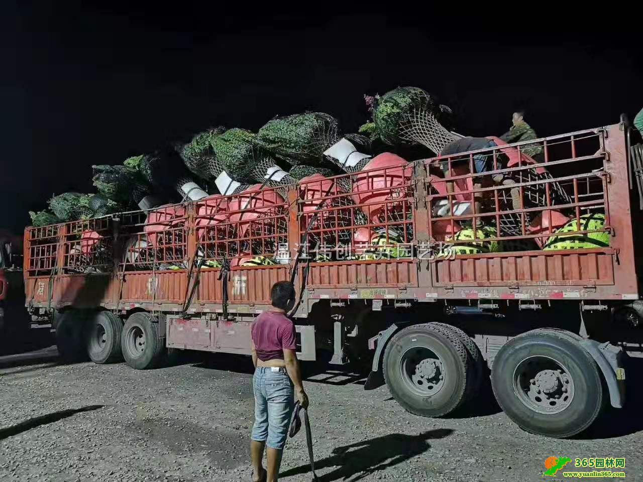 �ɶ���ޱ��ƿ������2.5�׸���ޱ��֯��ƿũ��