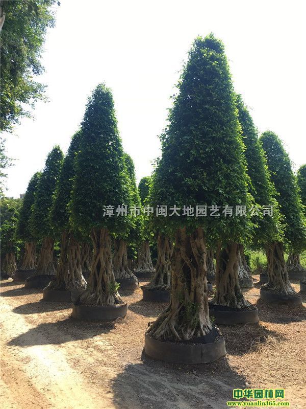 �����辰�������������̻����硢������ũ����