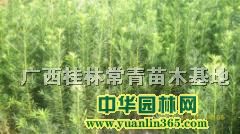 �޺����硢���硢����硢�����ҡ��������60����