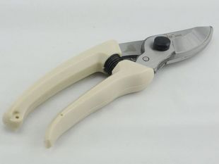 ��ľ�޼����� ��̼����֦�� ��֦���� ֦����