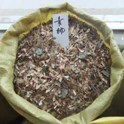 江苏星源花木园艺场
